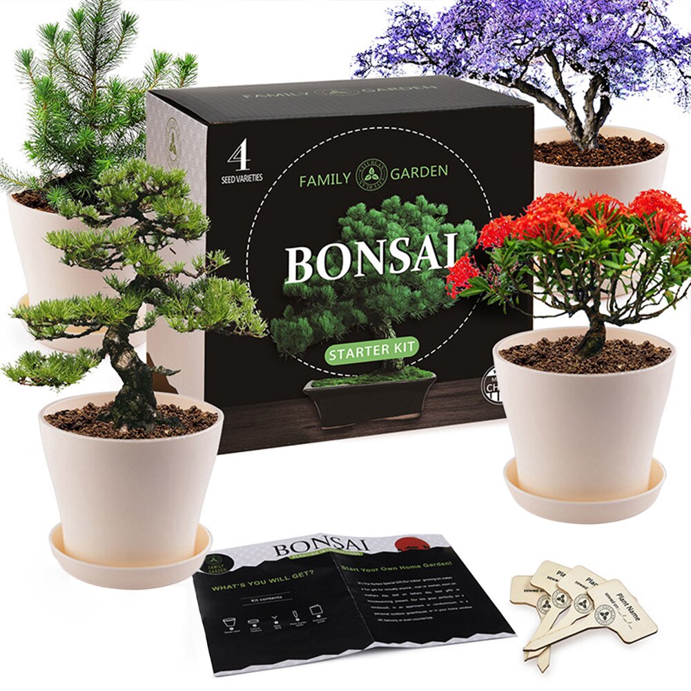 Tool DIY Germination Gardening Starter Indoor Pot Bonsai Tree Kit Drip Tray Growing Plant Kids Adult Gifts Crafts Tool DIY Germination Gardening Starter Indoor Pot Bonsai Tree Kit Drip Tray Growing Plant Kids Adult Gifts Crafts