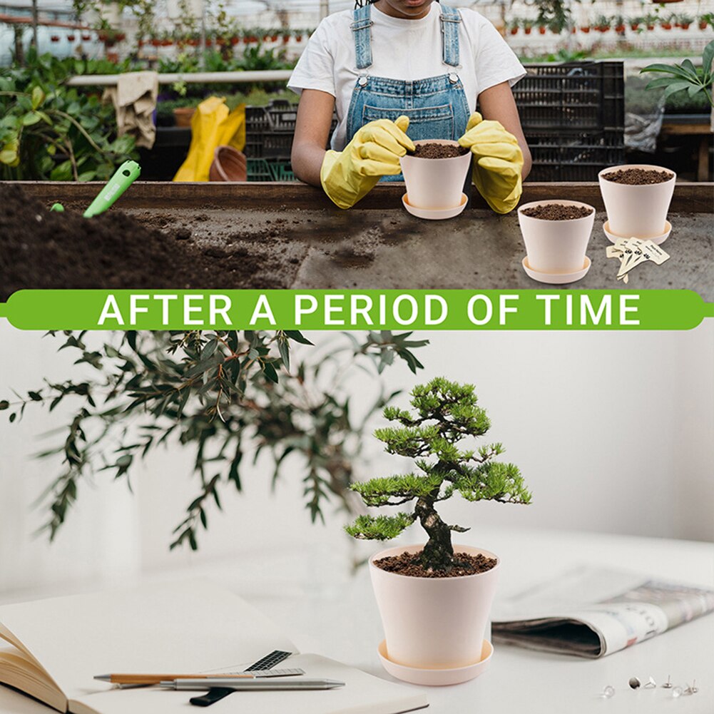 Tool DIY Germination Gardening Starter Indoor Pot Bonsai Tree Kit Drip Tray Growing Plant Kids Adult Gifts Crafts Tool DIY Germination Gardening Starter Indoor Pot Bonsai Tree Kit Drip Tray Growing Plant Kids Adult Gifts Crafts