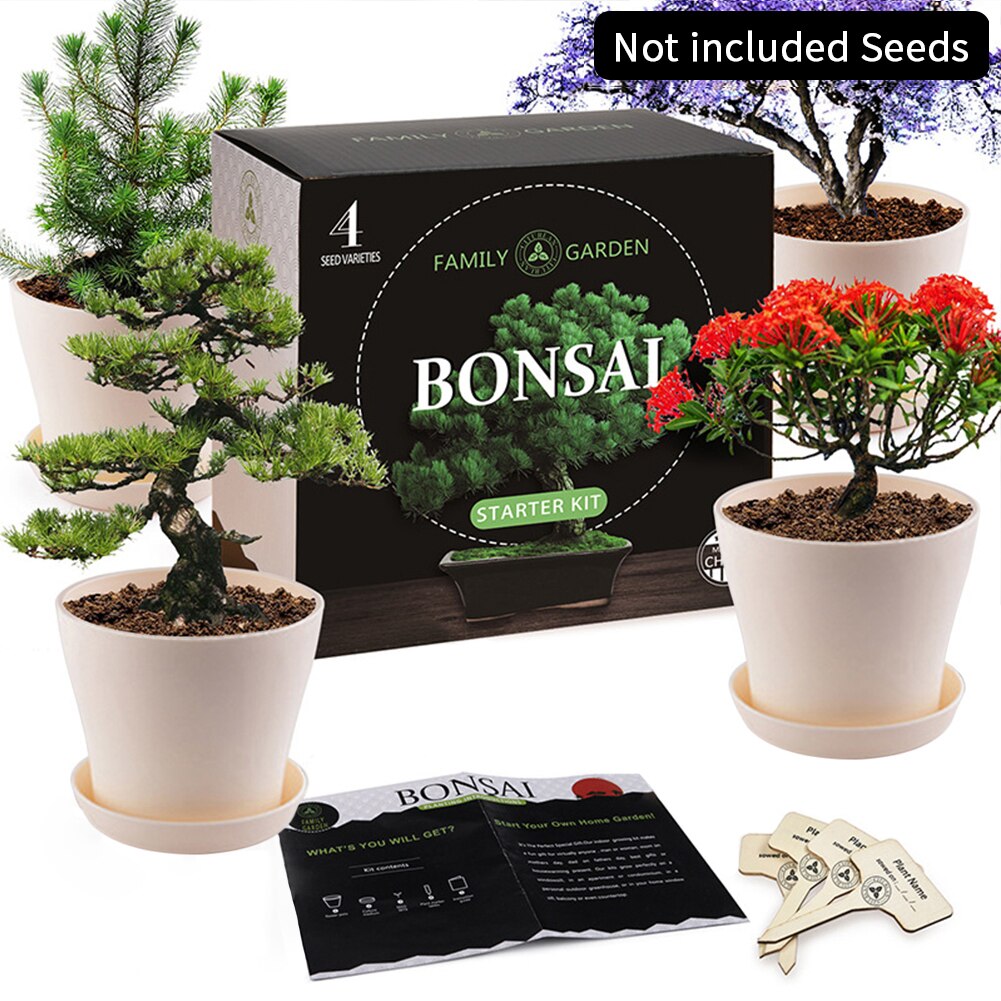 Tool DIY Germination Gardening Starter Indoor Pot Bonsai Tree Kit Drip Tray Growing Plant Kids Adult Gifts Crafts Tool DIY Germination Gardening Starter Indoor Pot Bonsai Tree Kit Drip Tray Growing Plant Kids Adult Gifts Crafts