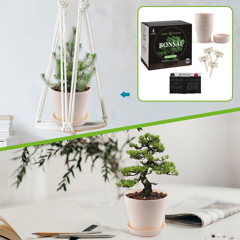 Tool DIY Germination Gardening Starter Indoor Pot Bonsai Tree Kit Drip Tray Growing Plant Kids Adult Gifts Crafts Tool DIY Germination Gardening Starter Indoor Pot Bonsai Tree Kit Drip Tray Growing Plant Kids Adult Gifts Crafts